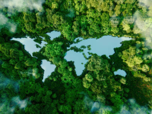 Ethical Mining Practices